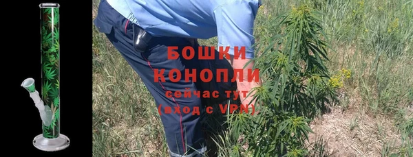 спайс Арсеньев