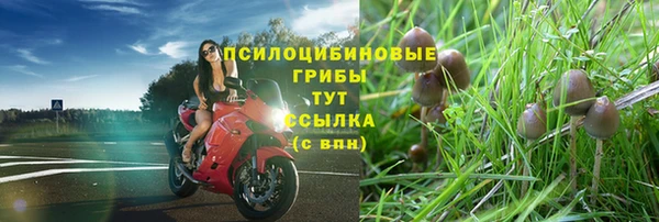ALPHA-PVP Армянск